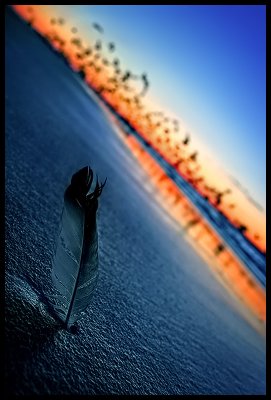 Found At The Beach (Take2)