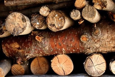 Stacked Wood