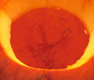 Inside a pumpkin *