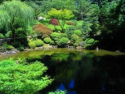 Japanese Garden *