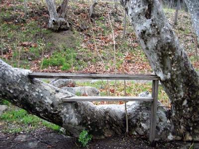 Tree Table