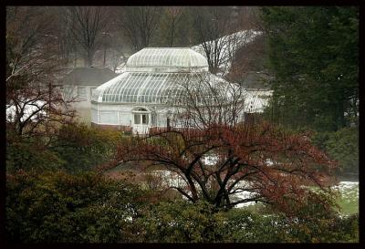 Greenhouse in the Garden (*)