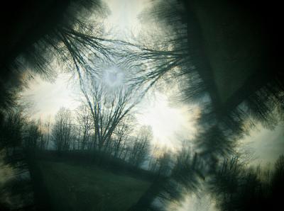 Kaleidoscope of Trees (*)