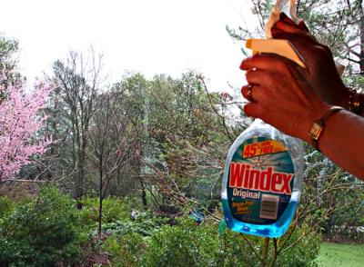 Clear view with Windex *