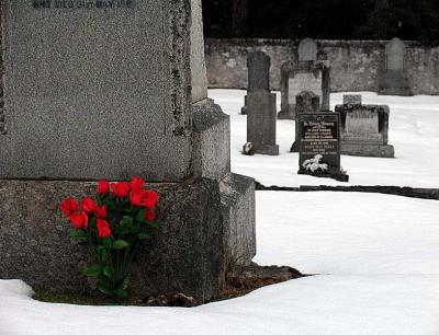 Red Grave*