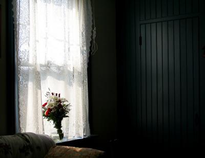 Window light *