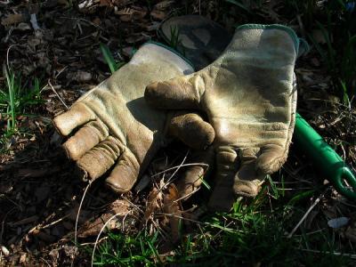 Gardening Gloves *