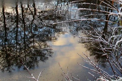 Icy Reflections