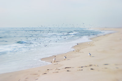 Jones Beach - Off Season