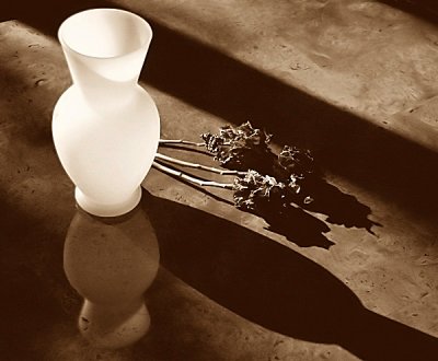 Empty  Vase