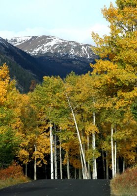 Into the Rockies