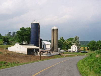 The farm
