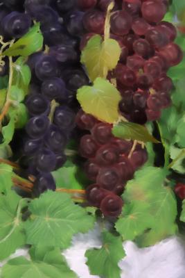 0054-grapes-sm.jpg