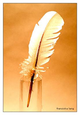 g3/58/167158/3/57622832.DSC_8646_Feather_PAD.jpg