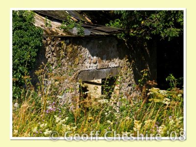 Decaying shepherd's hut