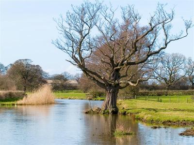 South of Garstang