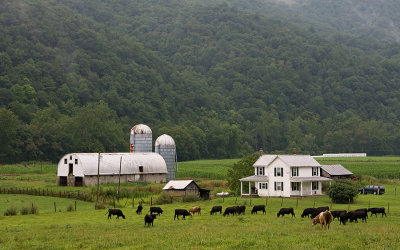 West Virginia