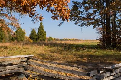 Spotsylvania Courthouse Battlefield, Va. #1
