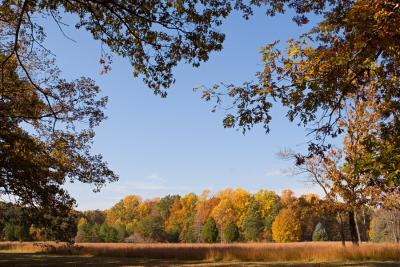 Spotsylvania Courthouse Battlefield, Va. #2