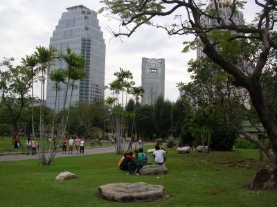 Banyan tree frn lumpini park