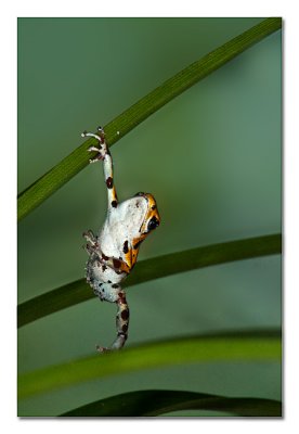 6543_web.jpg
