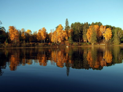 Fall Reflections2