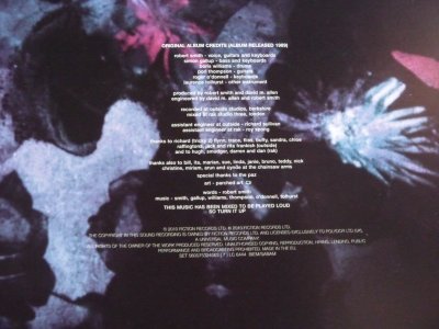Disintegration Vinyl 4.jpg
