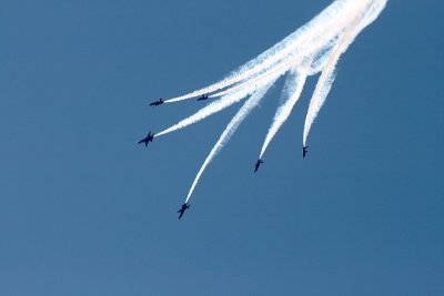 as6.jpg