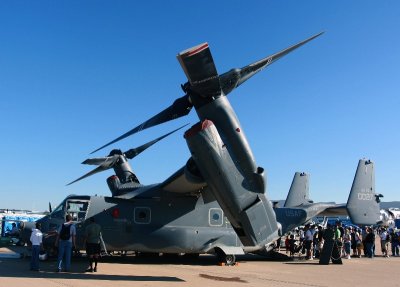IMG_6331 800X573.jpg