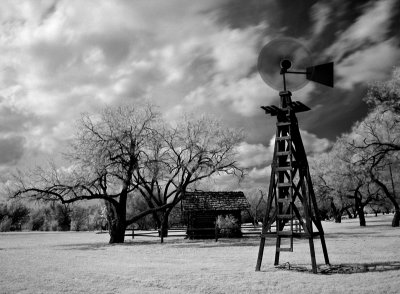 windmill2.jpg
