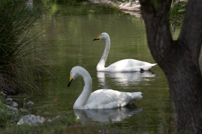 IMG_1734.jpg