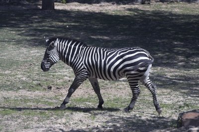 IMG_1764.jpg