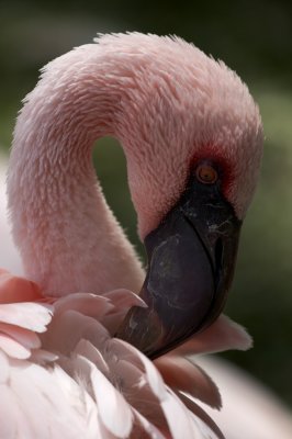 IMG_1864.jpg
