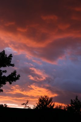 6-23-09