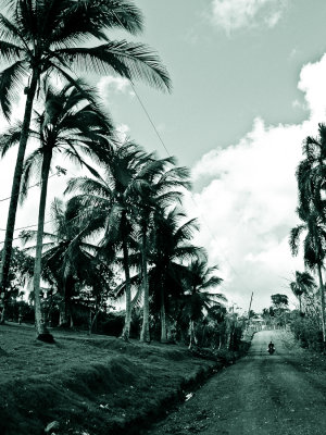 Dominican-Republic-04-IMG_0014.jpg