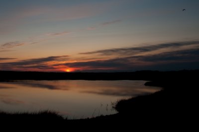 _DSC9179.jpg