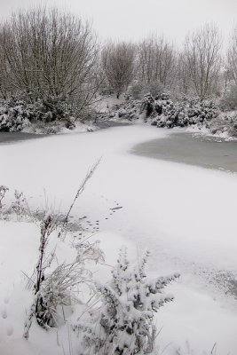 22-12-09 snowy pond