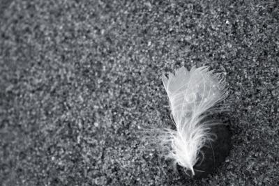 01-04-06 feather