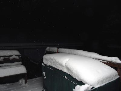 Morning Snow