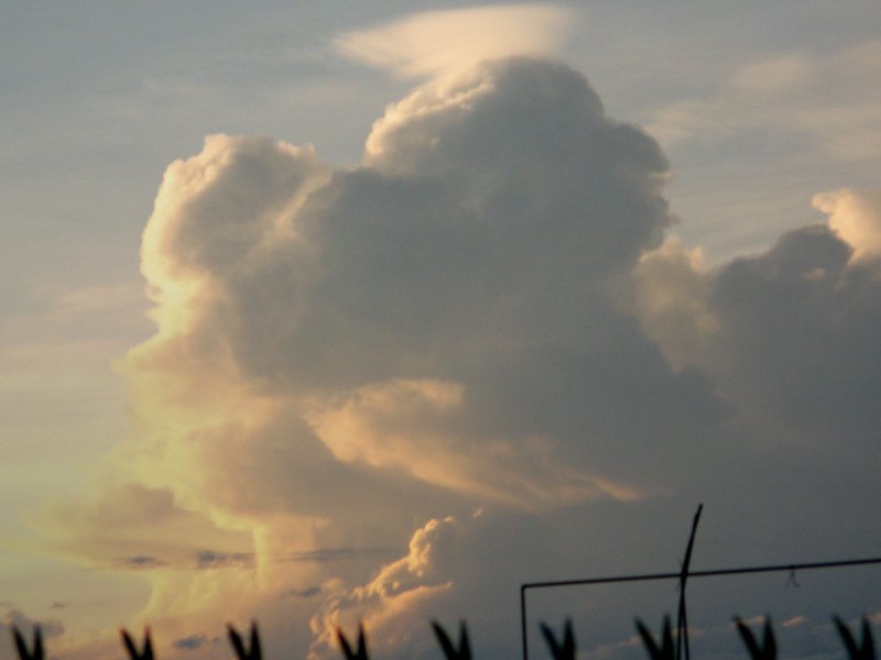 Morning Clouds in Summer 5