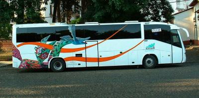 Tour Bus by Basilica
