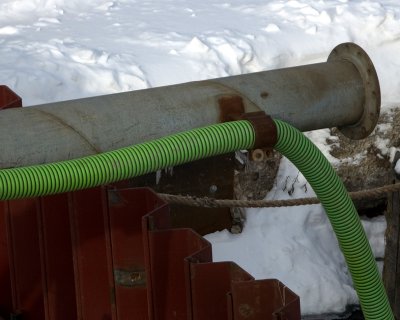 green hose