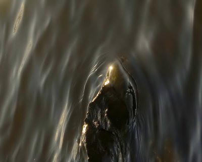 Water in an abstract way