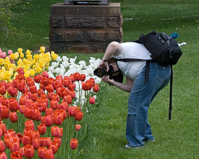 photographer