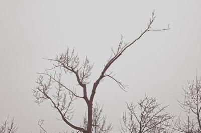 29 December 2005