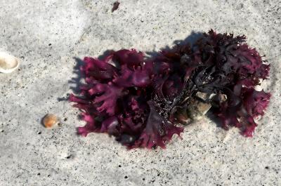 beach stuff