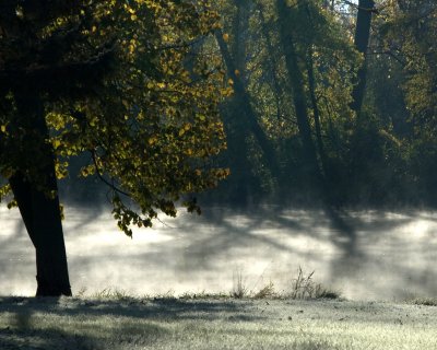 frosty morning