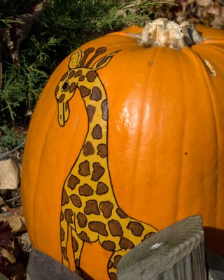 pumpkin