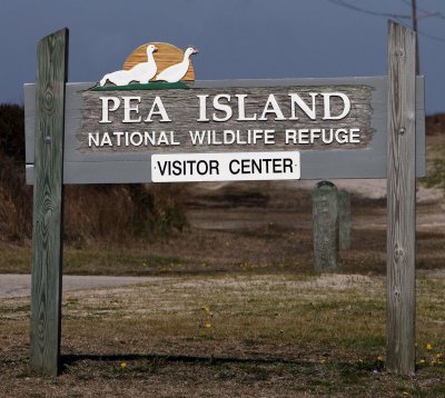 Pea Island National Wildlife Refuge.