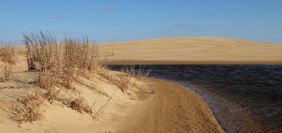 Sand Dunes, Kitty Hawk,NC.